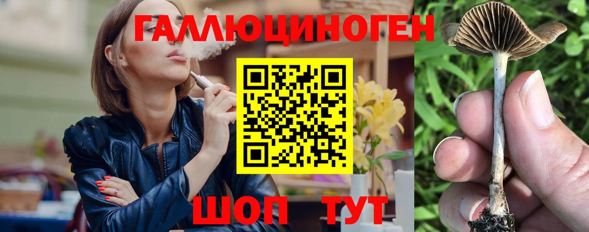 Псилоцибиновые грибы мицелий Соль-Илецк